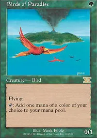 極楽鳥 (Birds of Paradise) / 6ED / 日本語版 / R #217 / 緑